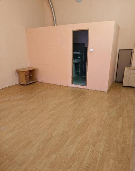 Apartament 1 camera ,et 1, Pietonal - 2