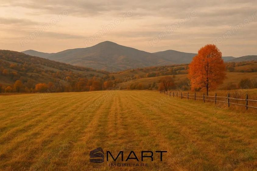 Teren intravilan zona Tocile - 1