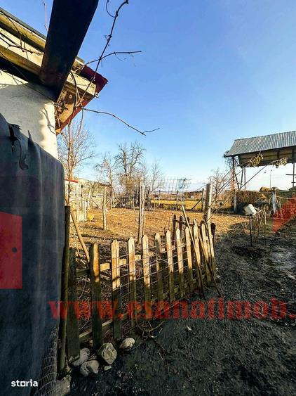 Casa in Bradu | 700 mp Teren | Acces Asfalt | Oportunitate Excelenta - 4