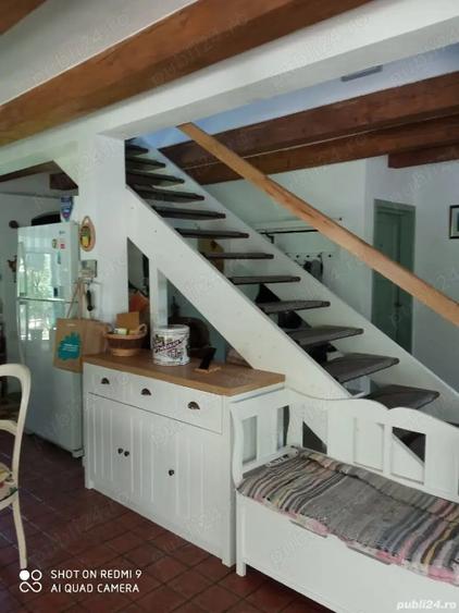 Casa cu peste 1HA pamant in Calimanesti - 10