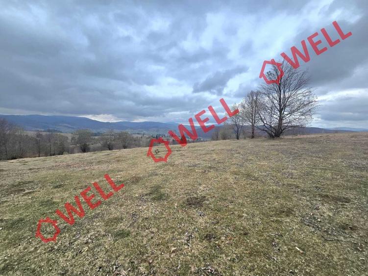 De vânzare 2 terenuri extravilane în localitatea Vama Buzăului, în zona denumită - 4