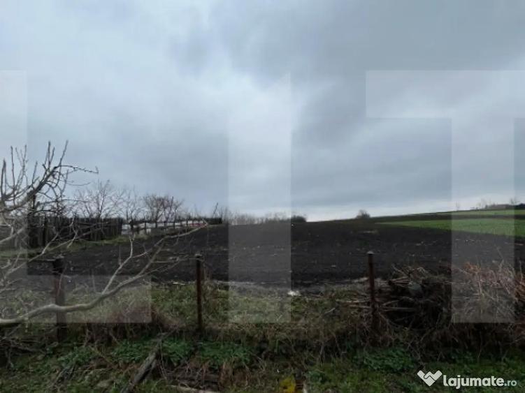 Casa din caramida, cu teren 5810 mp - Calinesti - 3