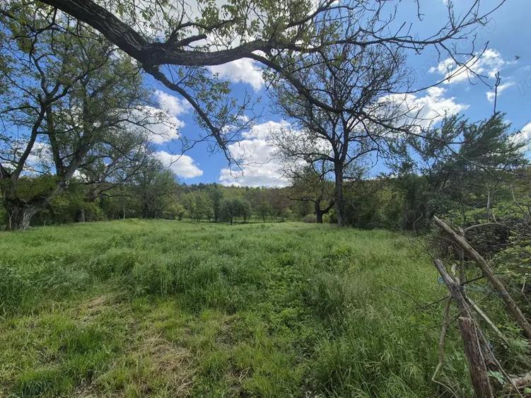 Vand loc de casa Goruia - 7