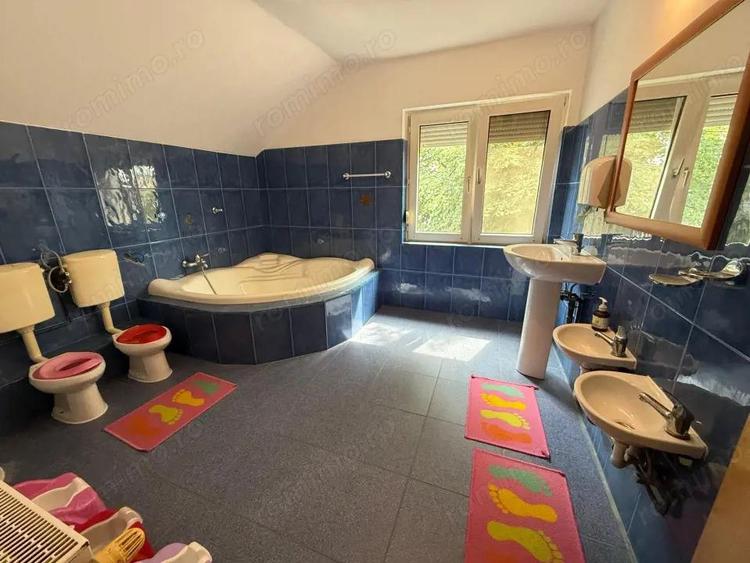 Casa de inchiriat Lipovei, ideala pentru activitati educa?ionale - 8