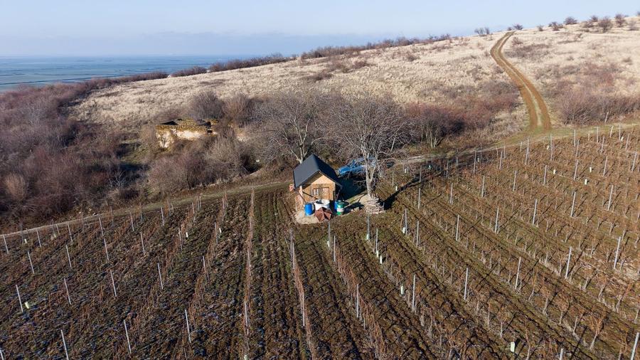 Vita-de-vie Premium  teren de 6800 mp în Covăsinț - 6