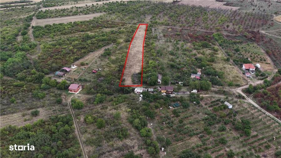 RECO Teren Episcopia - 2