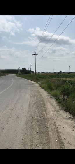 Teren de vanzare in Magurele Ilfov , in apropriere de A0! - 4