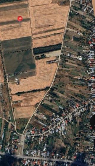 Teren intravilan Cornetu Ilfov - 2