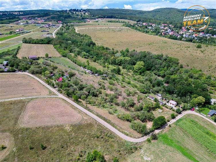 FILM! 4.500 mp,extravilan,livada,in Sancraiu,Covasna,acces facil,pomi fructiferi - 3