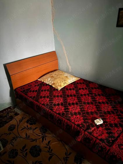 Vand casa la tara - 8