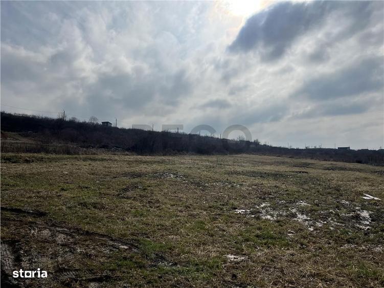 RECO teren intravilan in Oradea - 2