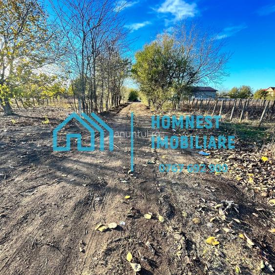 Stefanestii de Jos, Ilfov, teren 996.08 mp