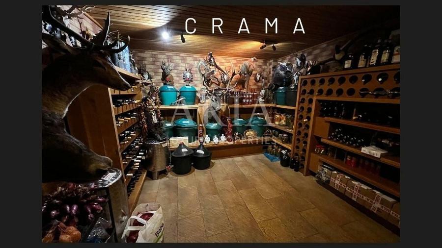 Vila grandioasa, Gradina Japoneza, SPA, Crama, Teren Tenis, Foisor, Iaz Pesti - 8