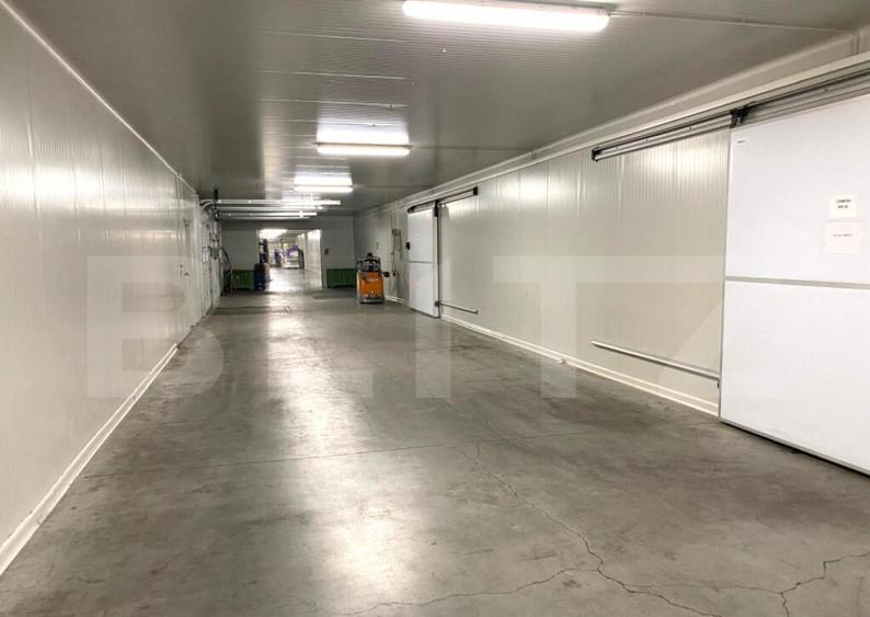 Depozit Frigorific ?i Hala Produc?ie, Oradea, 6200mp - 6