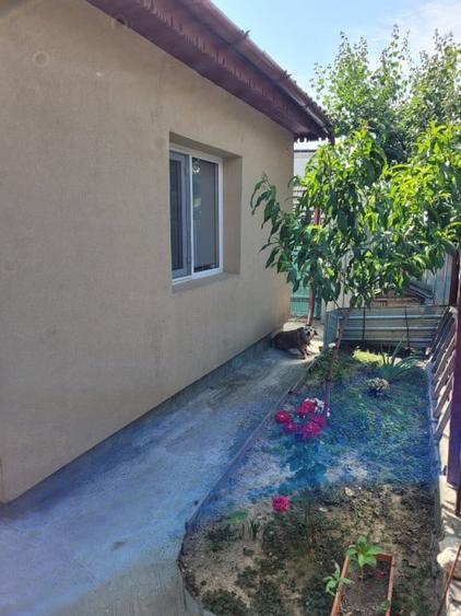 ZONA PODGORIILOR - CASA 3 CAMERE, SUPRAFATA 94 MP, CENTRALA GAZ - 18