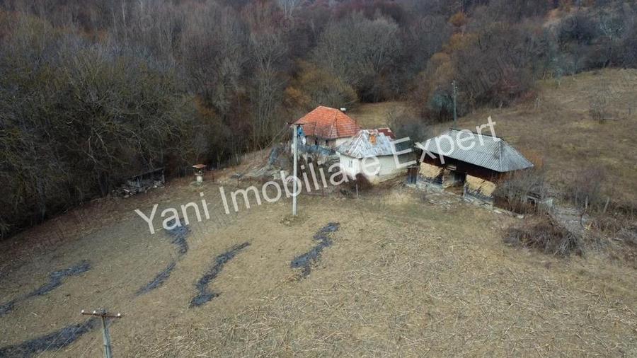 Casa batraneasca + 10.076 mp teren de vanzare in comuna Cepari, Jude? Arge?. - 14