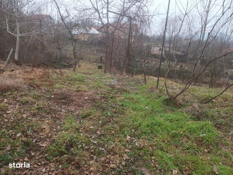 Teren intravilan - 3