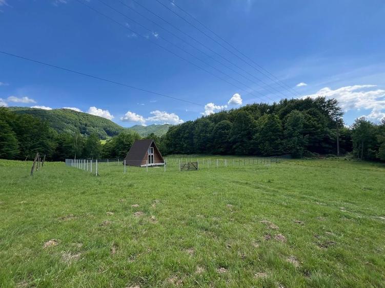 Teren Galaoaia - de vanzare - 2