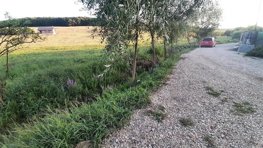 Parcela de 500 mp teren intravilan de vanzare , cartierul Rasaritului, sancraiul - 2