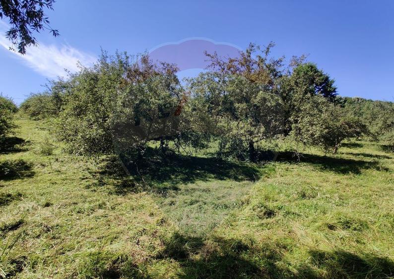 Teren intravilan in Remetea Chioarului - 8