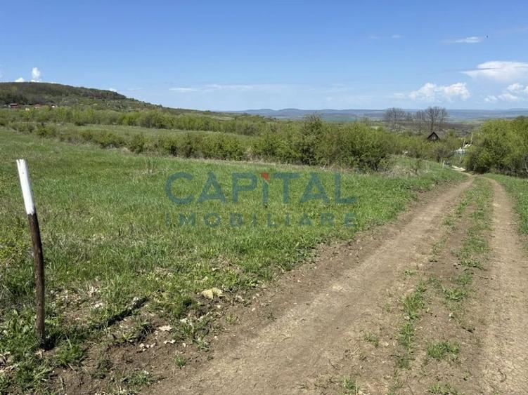 Teren intravilan 2200mp, Front 16m, sat. Padureni, Chinteni - 5