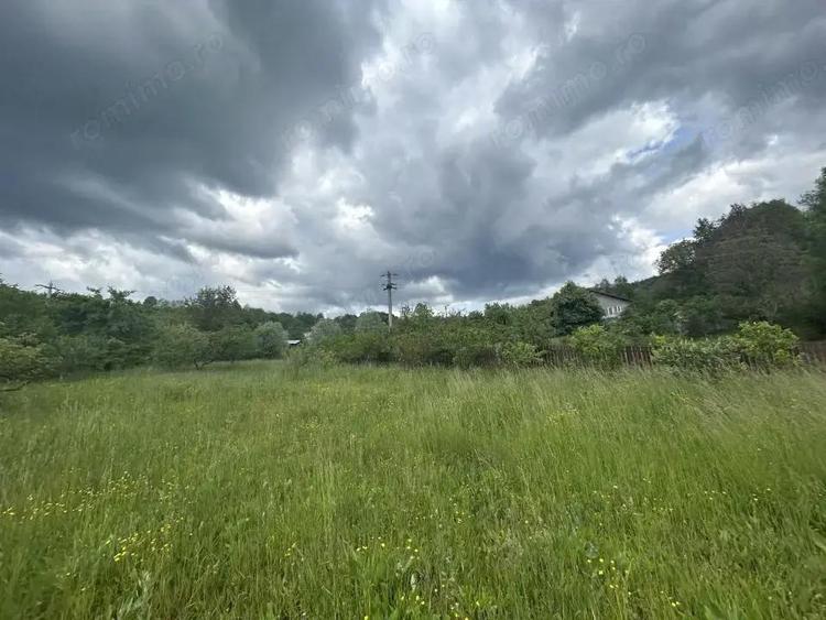 VAND CASUTA CU 3120 MP TEREN, SURDESTI BREAZA - 7