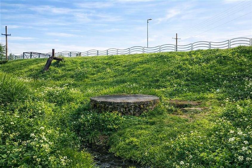 Teren extravilan 1450 mp, din care curti constructii 312 mp, Sfantu Gheorghe - 2