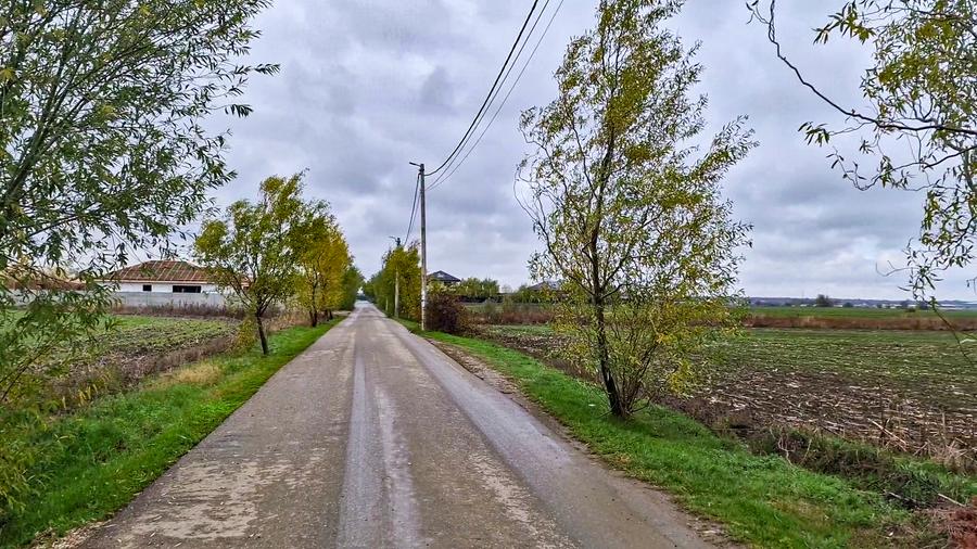 Teren intravilan, 1320 mp, la asfalt, in Balotesti - 1