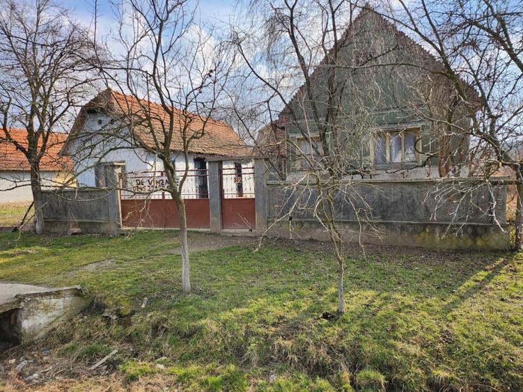 Vand casa Tau?, Arad - 3