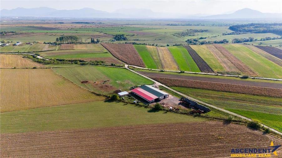 FILM! 18.000 mp,extravilan,agricol+constructii, recomandat:ferma,investitii agricole,Rotbav,Brasov - 2