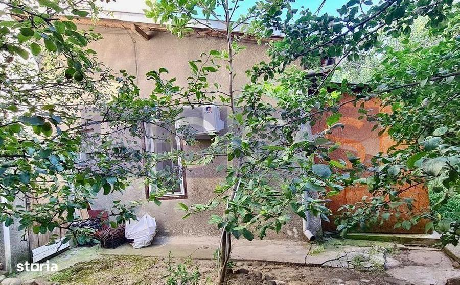 VANZARE CASA 2 CAMERE 35MP + TEREN 36MP CURTE COMUNA PIATA VICTORIEI R - 3