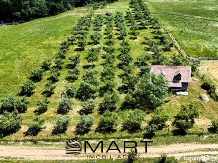 Teren extravilan 5000mp zona Cisnadie - 2