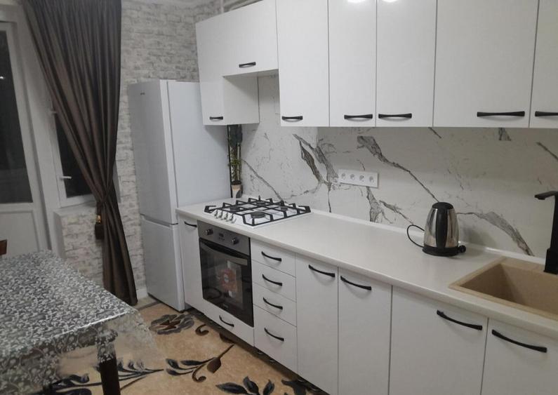 Apartament cu 1 camera Faget - 2