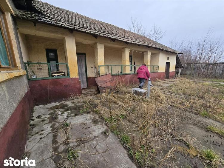RECO Casa in Boiu - 9