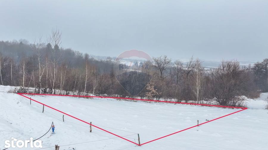 Teren 500 mp intre Perdelu? ?i Tohanul Nou - 11
