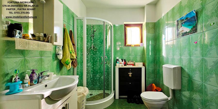 Proprietate Piatra Neamt - Casa P+M, anexa si 1000 mp teren - 10