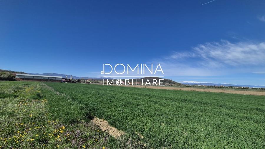 Vânzare loturi teren intravilan 520 mp - Sat Ceauru - la 10 km de Târgu Jiu - 3