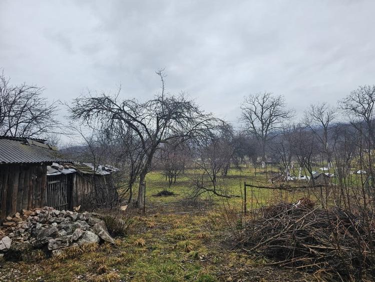 Casa la tara cu 5 camere + teren suprafata 1852 mp, Sat Campani, Bihor - 3