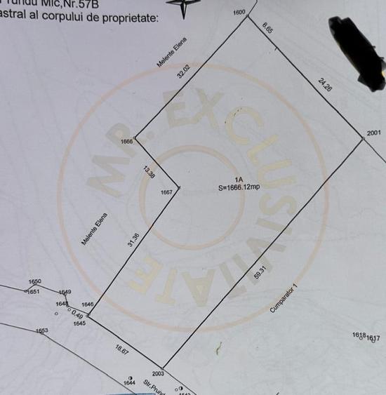 Teren intravilan Prundu - oportunitate excelentă de investiție! - 2