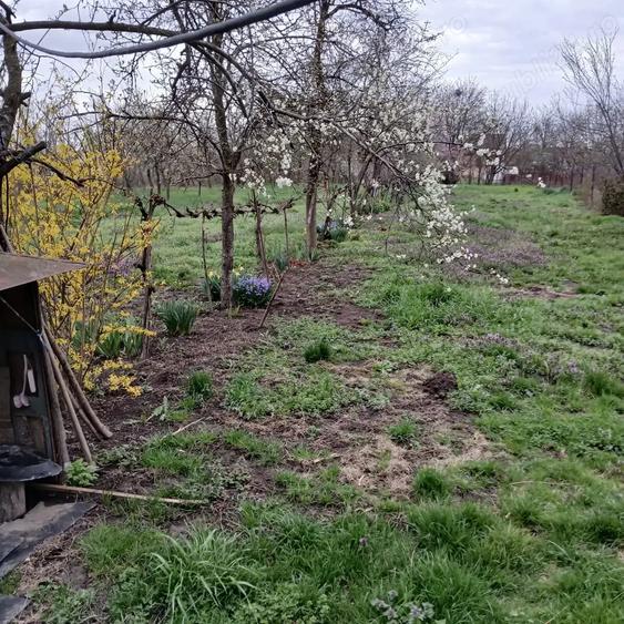 Casa si gradina de vanzare in Hitias la strada principala - 4