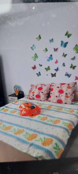 apartament 1 camera - 4