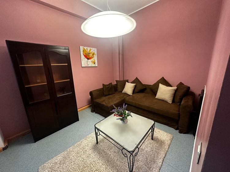 Vila individuala Victoriei pretabil birouri clinica restaurant rezidenta - 29