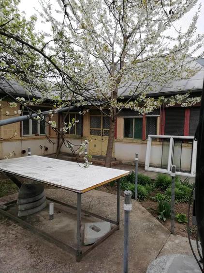 Vand teren intravilan , cultura de vie si casa batraneasca - 7