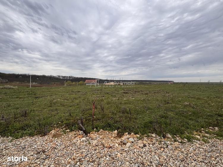 Teren Intravilan Pausa - 2