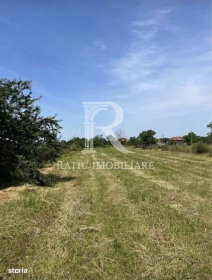 Teren cu proiect de casa | Sititelec | Bihor - 4