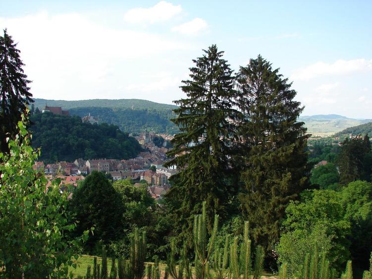 Proprietate unica in Sighisoara 33000mp + casa de 280mp - 5