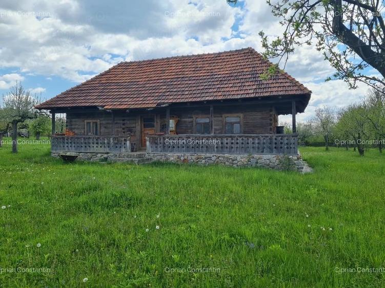 Casă cu Teren 20855 Mp în Albești