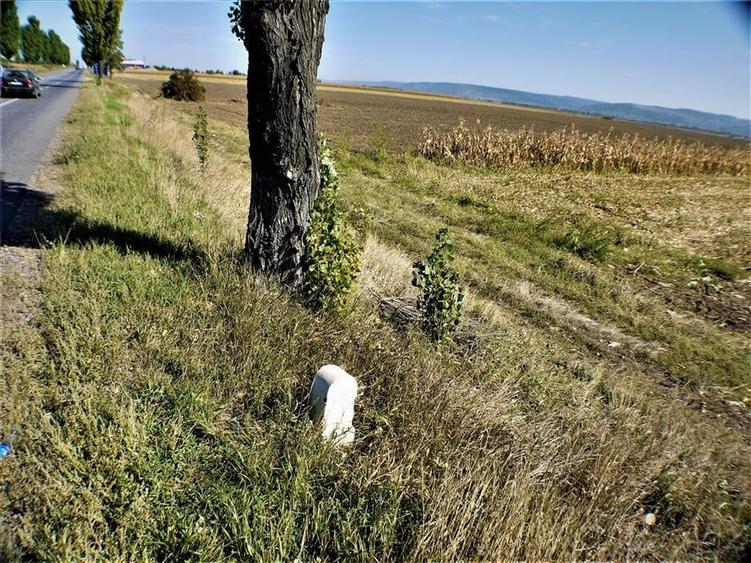 Teren iesire din Nicolae Balcescu, la 200ml de E85 Bacau - 12