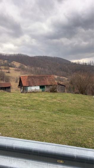 Vand grajdi cu casa - 2