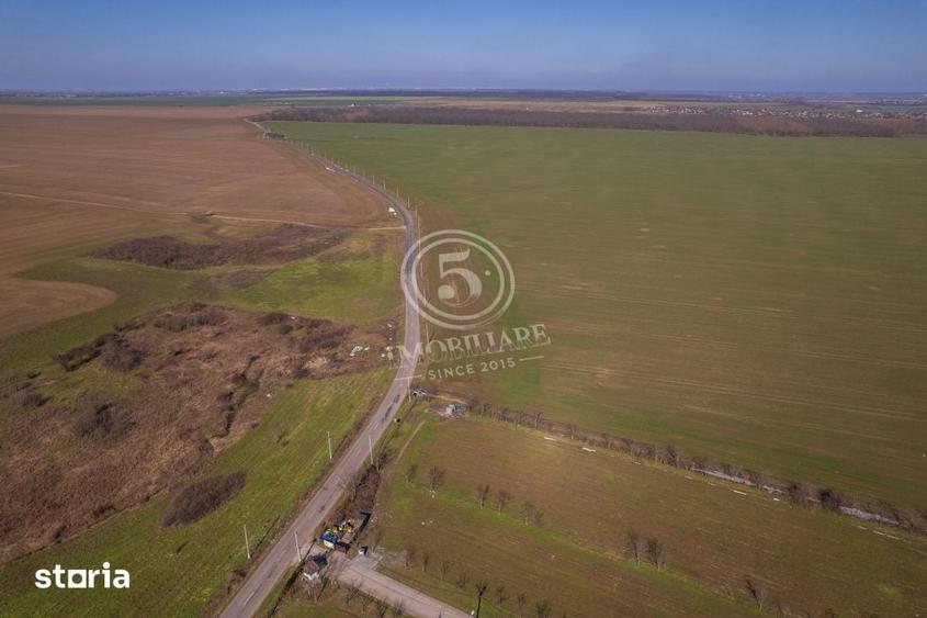Teren de 80000 mp, în Vasilați